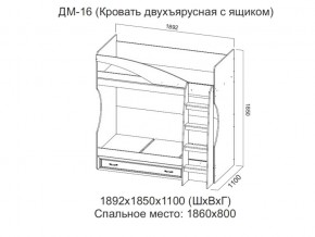 ДМ-16 Кровать двухъярусная с ящиком в Ялуторовске - yalutorovsk.магазин96.com | фото