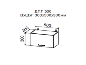 Шкаф верхний ДПГ500 горизонтальный в Ялуторовске - yalutorovsk.магазин96.com | фото