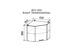 Шкаф верхний ДПУ600 угловой в Ялуторовске - yalutorovsk.магазин96.com | фото