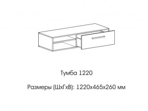 Тумба 1220 (низкая) в Ялуторовске - yalutorovsk.магазин96.com | фото