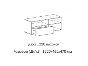 Тумба 1220 (высокая) в Ялуторовске - yalutorovsk.магазин96.com | фото